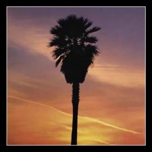 八神純子 黄昏のBAY CITY(Live)