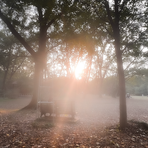 樹氷の輝き（Juhyouno Kagayaki）
