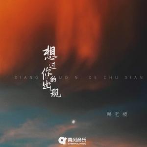 想过你的出现
