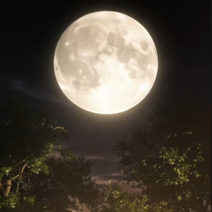 《Lune·萤晚》
