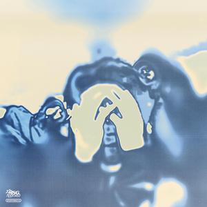 METROPOLIS (feat. Forrest Green, Leon Zhang & Taebz)