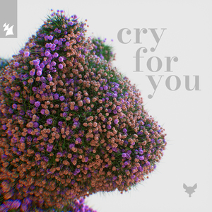 Cry for You (Extended Mix)