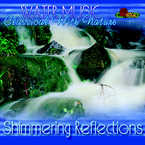 Sinfonie Nr.6 F-dur, Op. 68, Pastorale IV. Gewitter, Sturm (Thunderstorm, Storm), Allegro