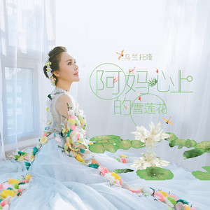 阿妈心上的雪莲花