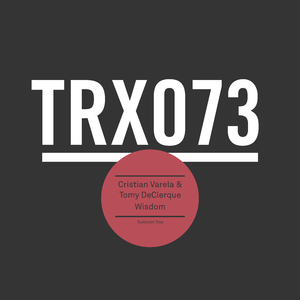 Wisdom (Original Mix)