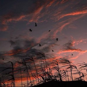 天亮以前说再见