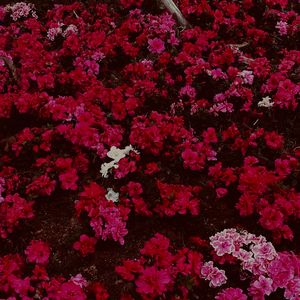 Dancing With Your Ghost