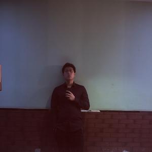 恐高的鸟（Cover 董成鹏）