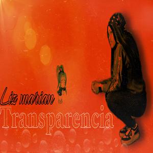 Transparencia