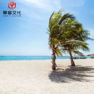 胎教音乐早期.林间小道(小提琴)