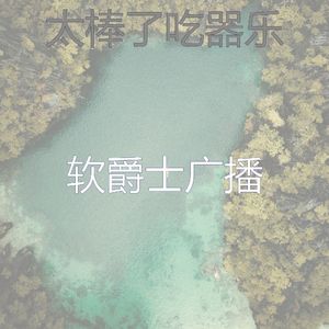 精致的居家办公环境