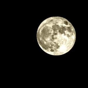 red lips （cover：沙一汀EL）