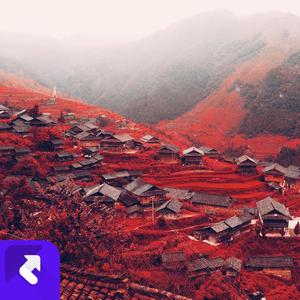 小妹今年十八九 (现场)