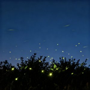 Where Shadows Glow (Remix)