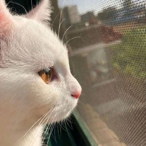 盛夏派对-monn-lover