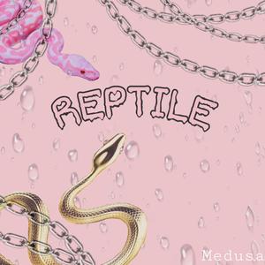 reptile