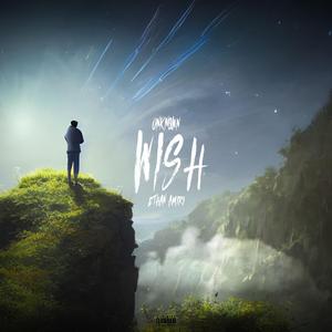 Wish (feat. Ethan Amiri)