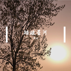 踏破星河