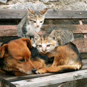 Snuggle Time by Lake