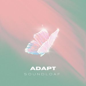 ADAPT (Demo)
