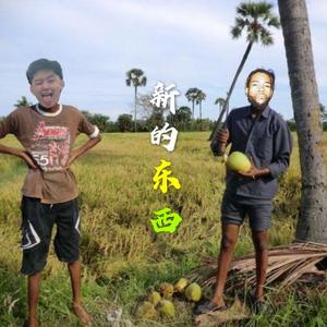 PARTYNEXTDOOR-Something New新的东西（李恩泽 / PARTYNEXTDOOR remix）