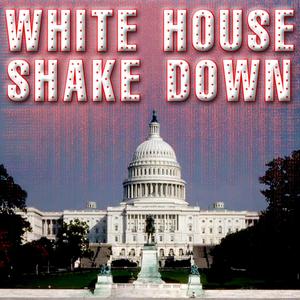 Silver Medals And Purple Hearts