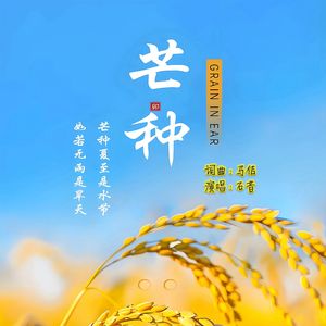 芒种（乡村版）