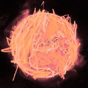 Конечная станция (Live)