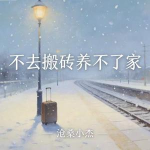 不去搬砖养不了家