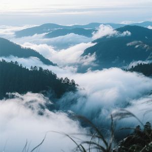 风剪云衣