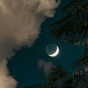 One More Night (不想回家)