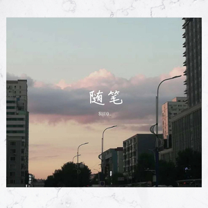 随笔2.0（Pro.EVOMUSIC）