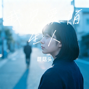 我只爱陌生人