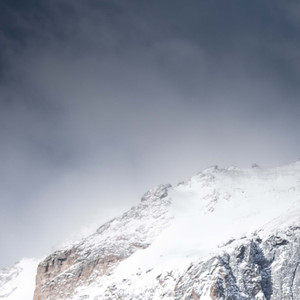 自由不掺假 我以枯木吻春花