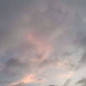 life （prod by Lemon MAX）