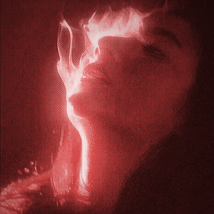 Manikin（人体模型）