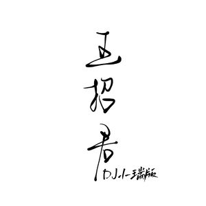 王招君 (DJ版)