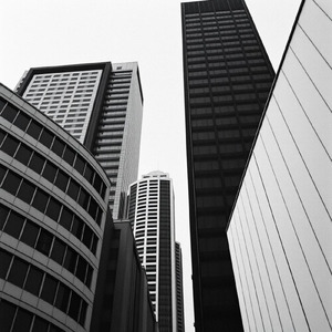 Forbidden Miracle (feat. Shi-On)