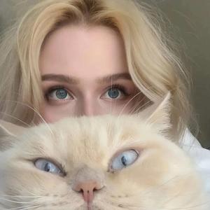 周杰伦“烟花易冷” R&B x Hip Hop Beat