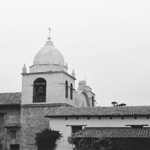 Sir Finnegan (Original)