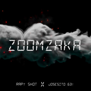 Zoomzaka