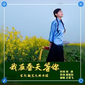 我在春天等你-王雪飞