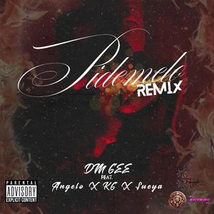 Pidemelo RMX (feat. Angelomusicpr, Sueya & KG)