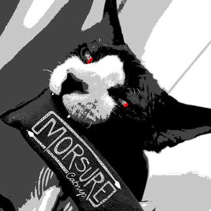 You Smell Like Cat Piss