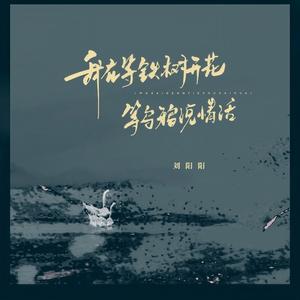 我在等铁树开花