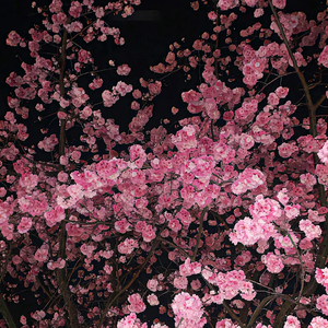 想写上你的名字