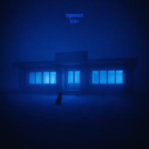 приют