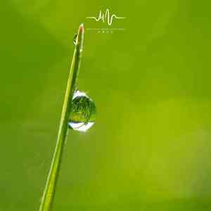 梦无声 (减压助眠古琴曲)