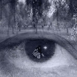 你带给我的 Toska