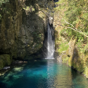 僕はそれだけでいい